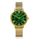 ZINZI Twenty horloge met groene wijzerplaat, geelgoudkleurige stalen kast 34mm en stalen meshband ZIW2054